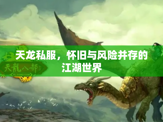 天龙私服，怀旧与风险并存的江湖世界