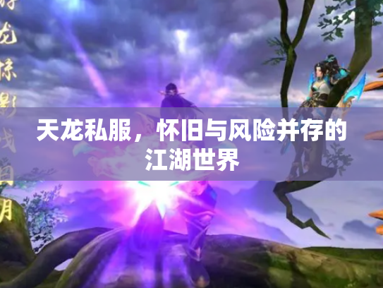 天龙私服，怀旧与风险并存的江湖世界