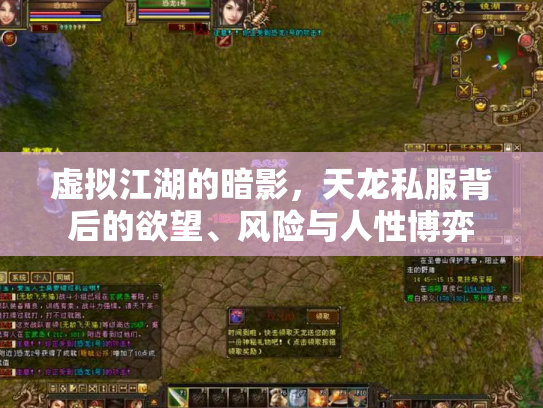 虚拟江湖的暗影，天龙私服背后的欲望、风险与人性博弈