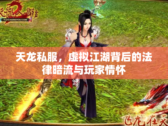 天龙私服，虚拟江湖背后的法律暗流与玩家情怀