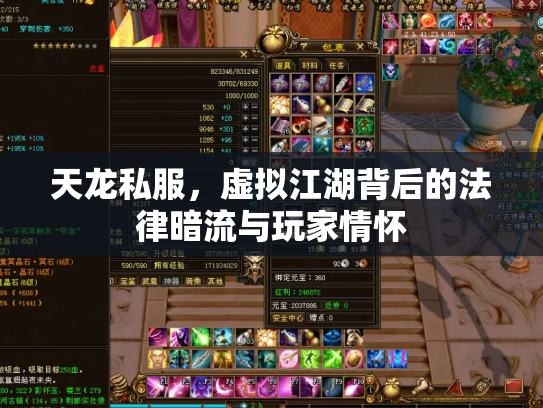 天龙私服，虚拟江湖背后的法律暗流与玩家情怀