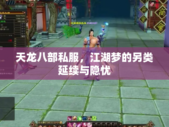 天龙八部私服，江湖梦的另类延续与隐忧