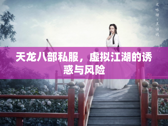天龙八部私服，虚拟江湖的诱惑与风险