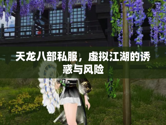 天龙八部私服，虚拟江湖的诱惑与风险
