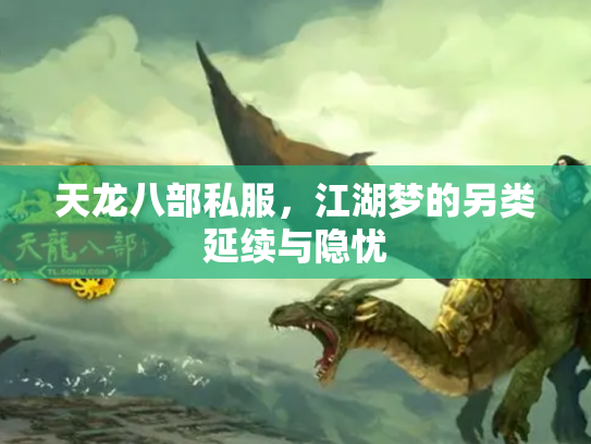 天龙八部私服，江湖梦的另类延续与隐忧