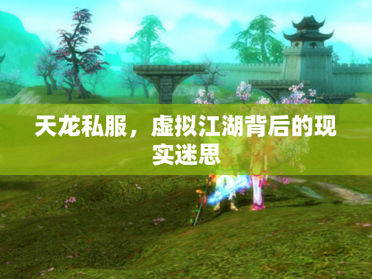 天龙私服，虚拟江湖背后的现实迷思