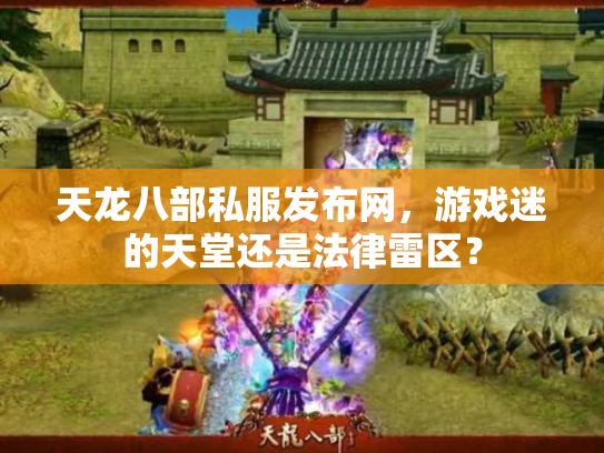 天龙八部私服发布网，游戏迷的天堂还是法律雷区？