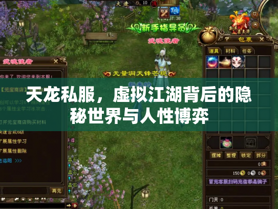 天龙私服，虚拟江湖背后的隐秘世界与人性博弈