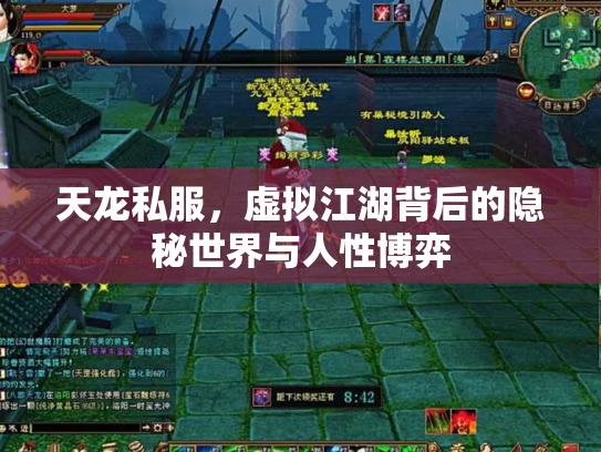 天龙私服，虚拟江湖背后的隐秘世界与人性博弈
