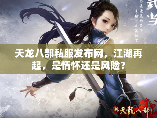天龙八部私服发布网，江湖再起，是情怀还是风险？