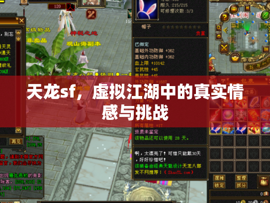 天龙sf，虚拟江湖中的真实情感与挑战