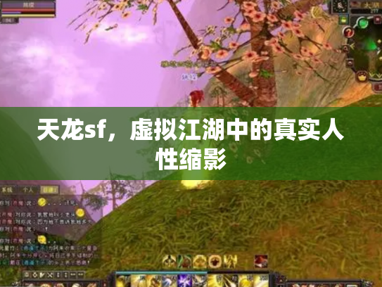 天龙sf，虚拟江湖中的真实人性缩影