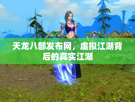 天龙八部发布网，虚拟江湖背后的真实江湖