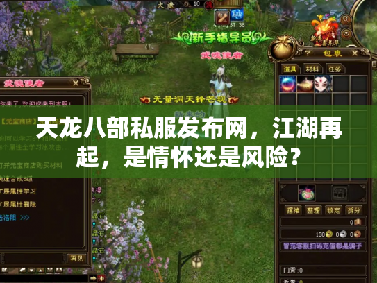 天龙八部私服发布网，江湖再起，是情怀还是风险？
