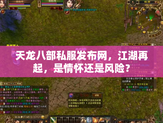 天龙八部私服发布网，江湖再起，是情怀还是风险？