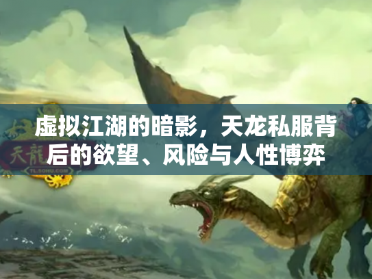 虚拟江湖的暗影，天龙私服背后的欲望、风险与人性博弈