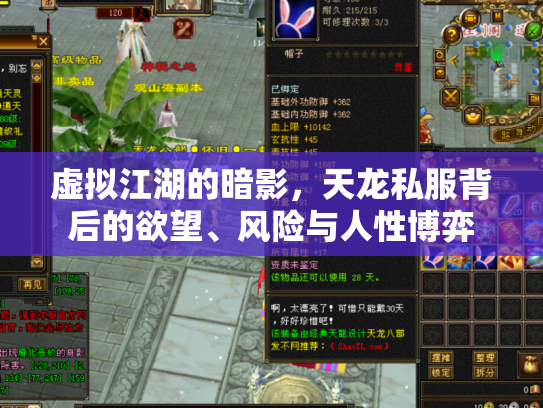 虚拟江湖的暗影，天龙私服背后的欲望、风险与人性博弈