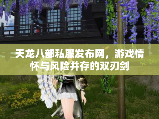 天龙八部私服发布网，游戏情怀与风险并存的双刃剑