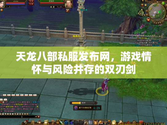 天龙八部私服发布网，游戏情怀与风险并存的双刃剑