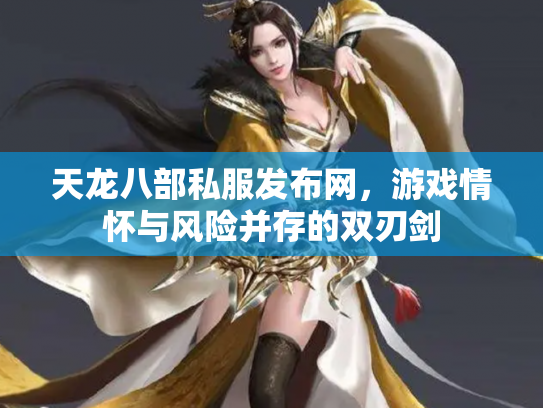 天龙八部私服发布网，游戏情怀与风险并存的双刃剑