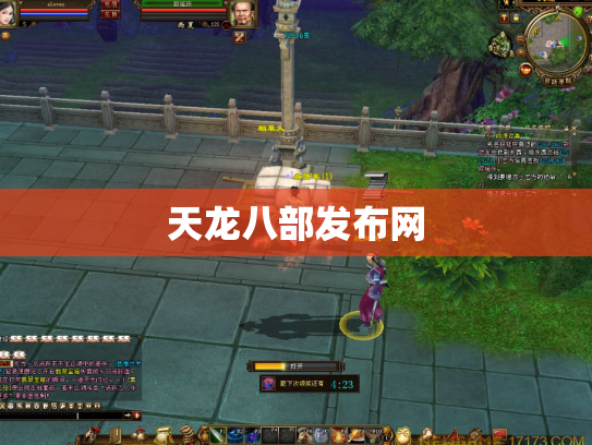 天龙八部发布网