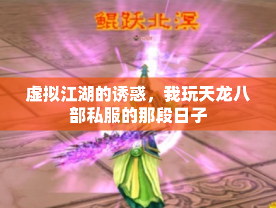 虚拟江湖的诱惑，我玩天龙八部私服的那段日子