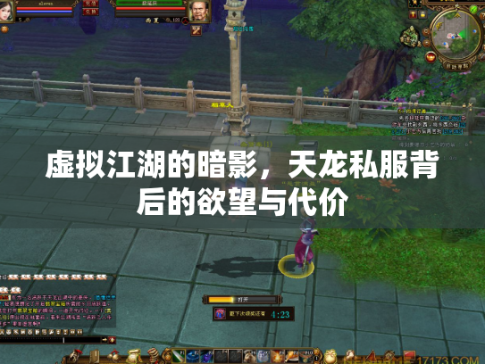 虚拟江湖的暗影，天龙私服背后的欲望与代价