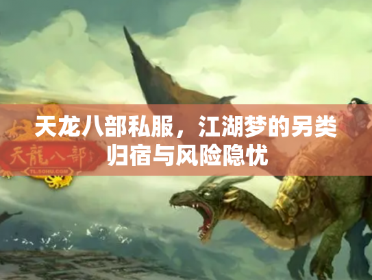 天龙八部私服，江湖梦的另类归宿与风险隐忧