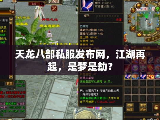 天龙八部私服发布网，江湖再起，是梦是劫？