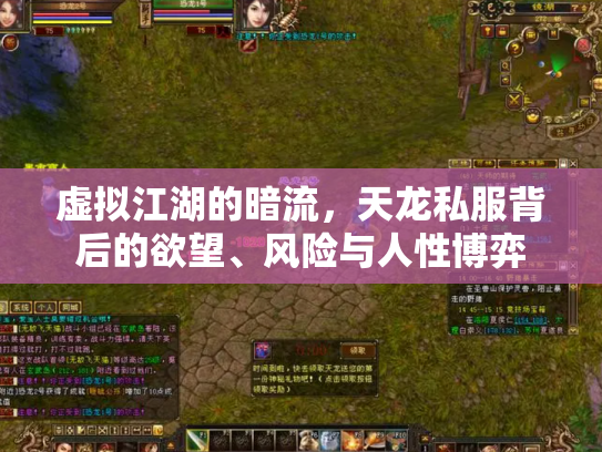 虚拟江湖的暗流，天龙私服背后的欲望、风险与人性博弈