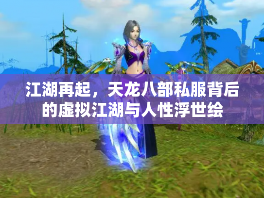 江湖再起，天龙八部私服背后的虚拟江湖与人性浮世绘