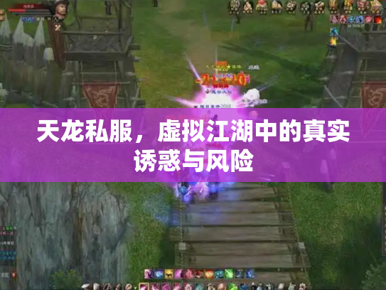 天龙私服，虚拟江湖中的真实诱惑与风险