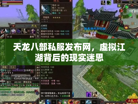 天龙八部私服发布网，虚拟江湖背后的现实迷思