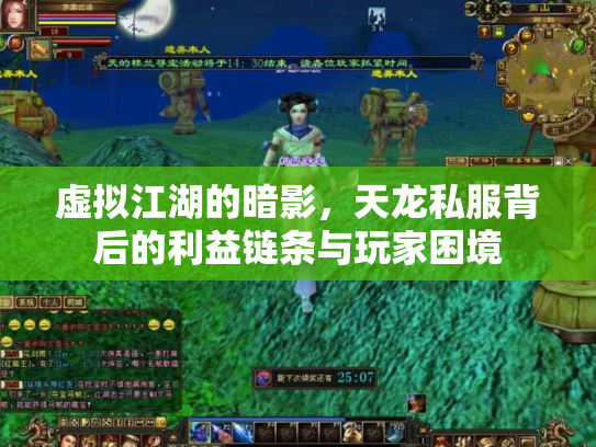 虚拟江湖的暗影，天龙私服背后的利益链条与玩家困境