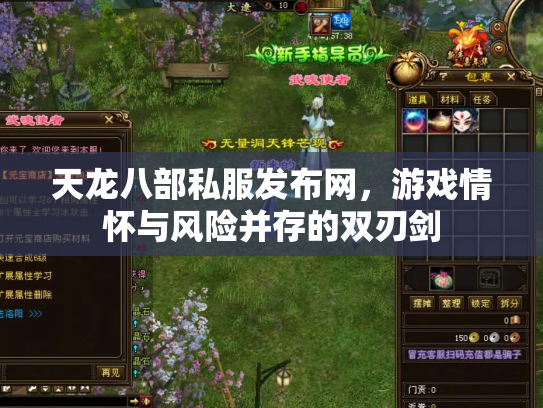 天龙八部私服发布网，游戏情怀与风险并存的双刃剑