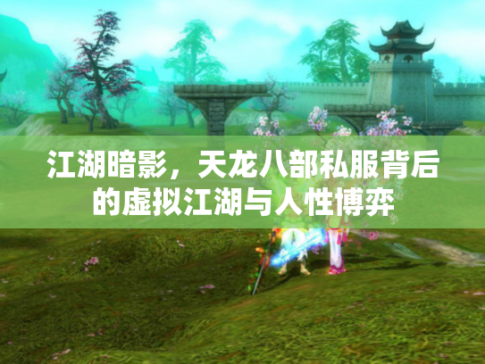 江湖暗影，天龙八部私服背后的虚拟江湖与人性博弈