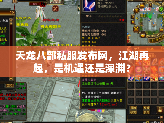 天龙八部私服发布网，江湖再起，是机遇还是深渊？