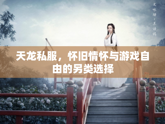 天龙私服，怀旧情怀与游戏自由的另类选择