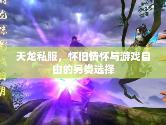 天龙私服，怀旧情怀与游戏自由的另类选择