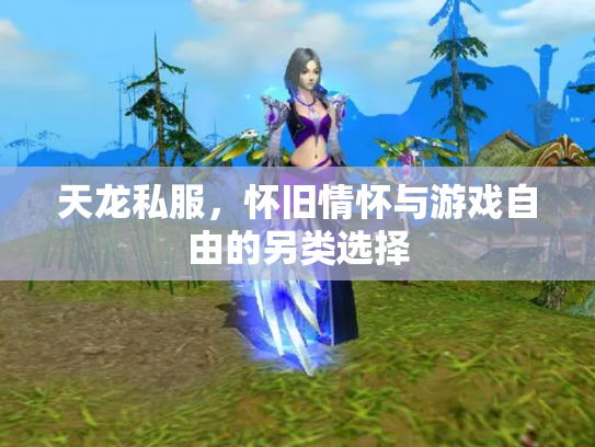 天龙私服，怀旧情怀与游戏自由的另类选择