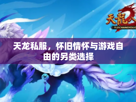 天龙私服，怀旧情怀与游戏自由的另类选择