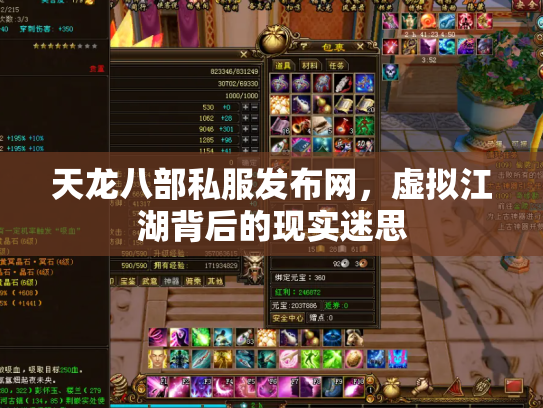 天龙八部私服发布网，虚拟江湖背后的现实迷思