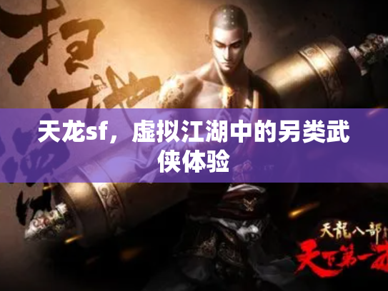 天龙sf，虚拟江湖中的另类武侠体验