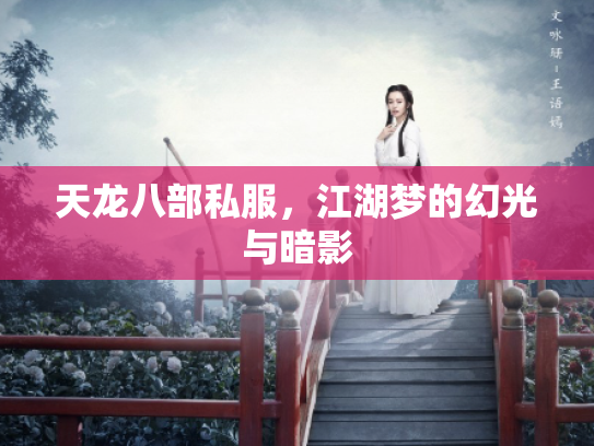 天龙八部私服，江湖梦的幻光与暗影
