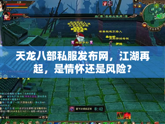 天龙八部私服发布网，江湖再起，是情怀还是风险？
