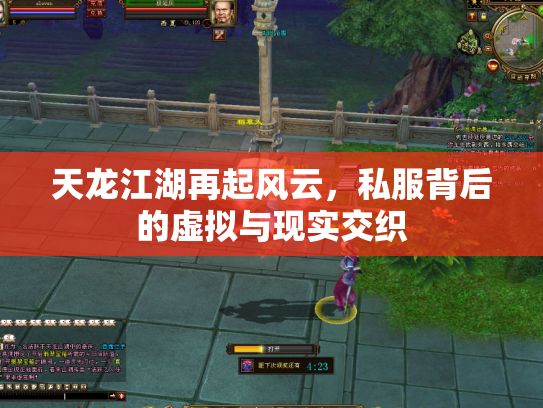 天龙江湖再起风云，私服背后的虚拟与现实交织