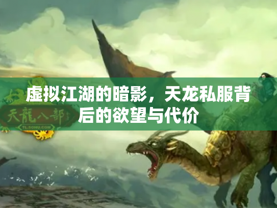 虚拟江湖的暗影，天龙私服背后的欲望与代价