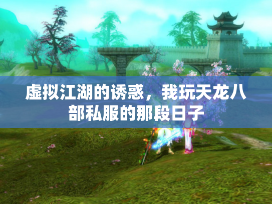 虚拟江湖的诱惑，我玩天龙八部私服的那段日子