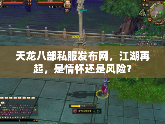 天龙八部私服发布网，江湖再起，是情怀还是风险？