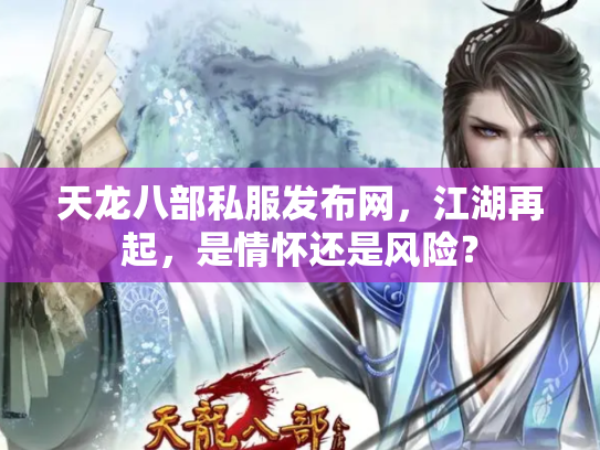 天龙八部私服发布网，江湖再起，是情怀还是风险？